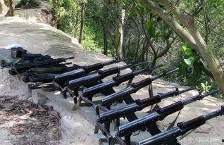 我国新一代枪族最新爆料